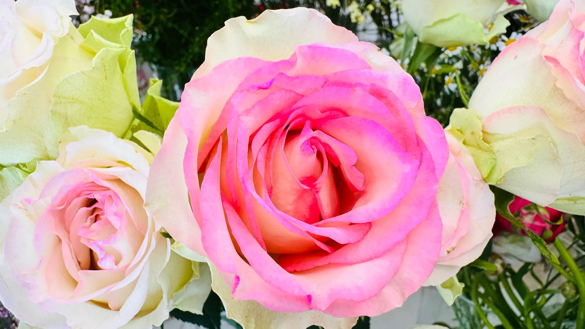 Gamas Blumenwelt