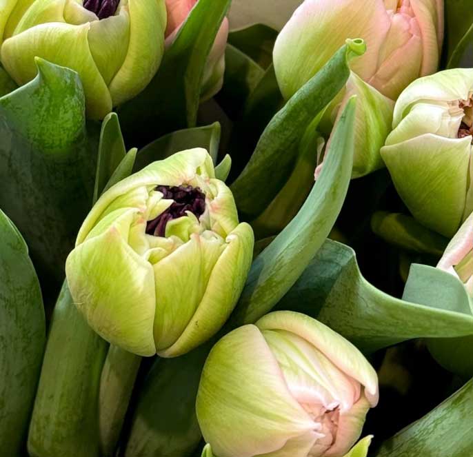 Blumenarrangements bei Gamas Blumenwelt